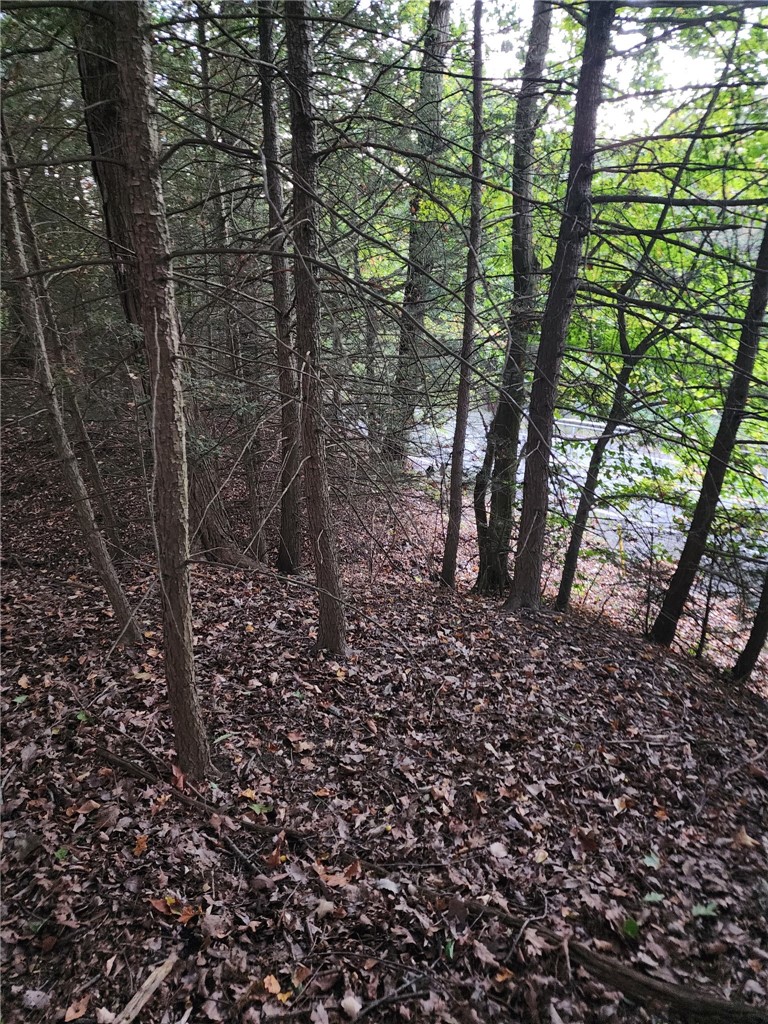 000 Barclay Hill Rd — photo 4