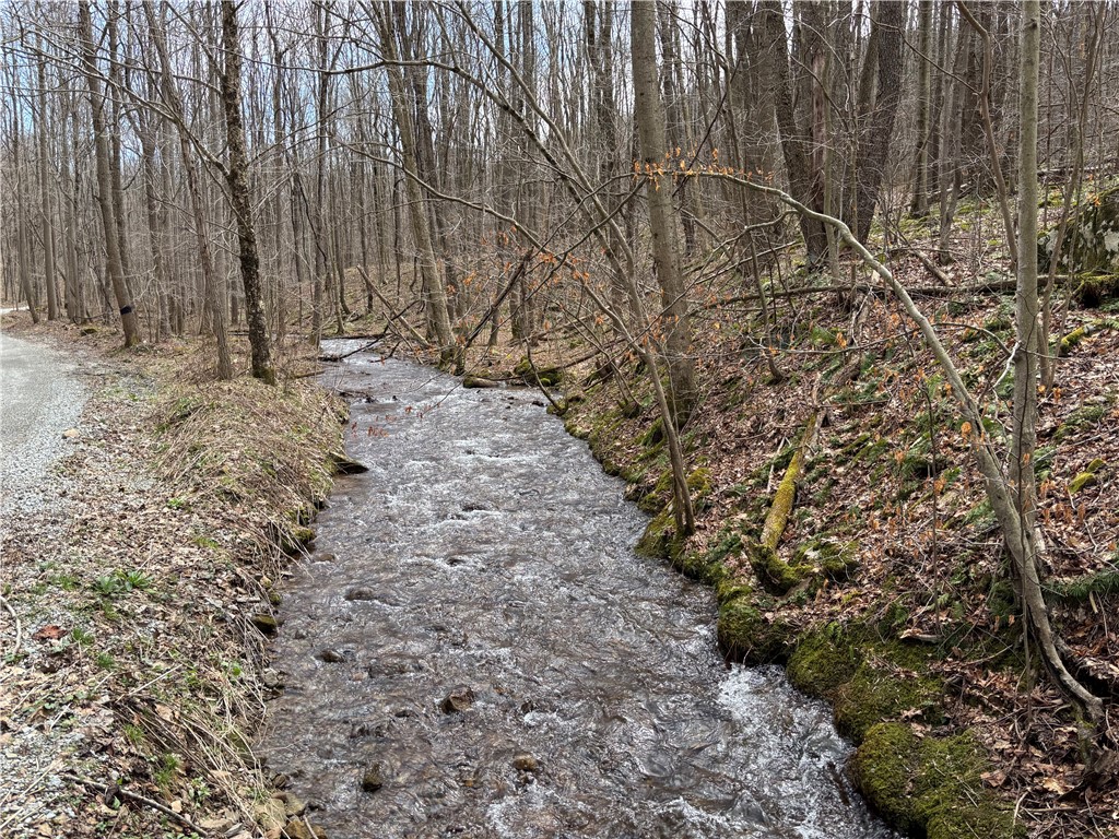 Lot 1 Neals Run Road — photo 1