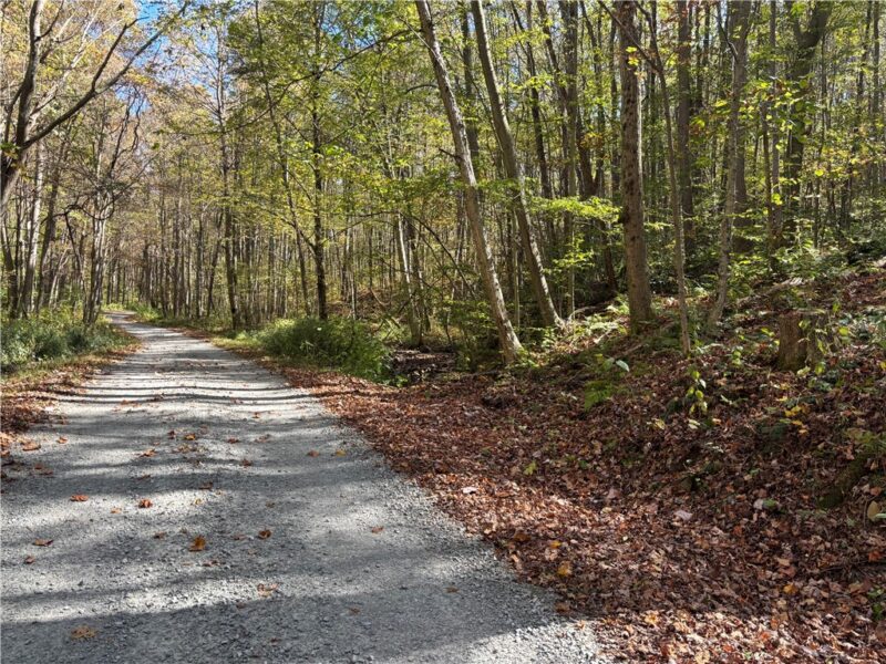 Lot 1 Neals Run Road — photo 2