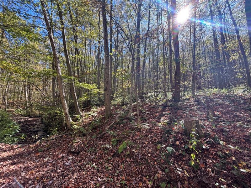 Lot 1 Neals Run Road — photo 8