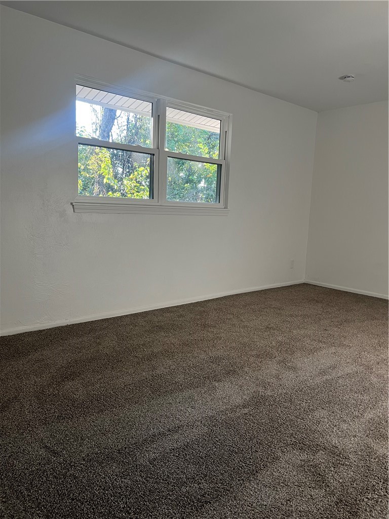 2317 Park Hill — photo 8