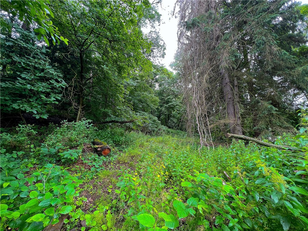 811 Meridian Rd — photo 1