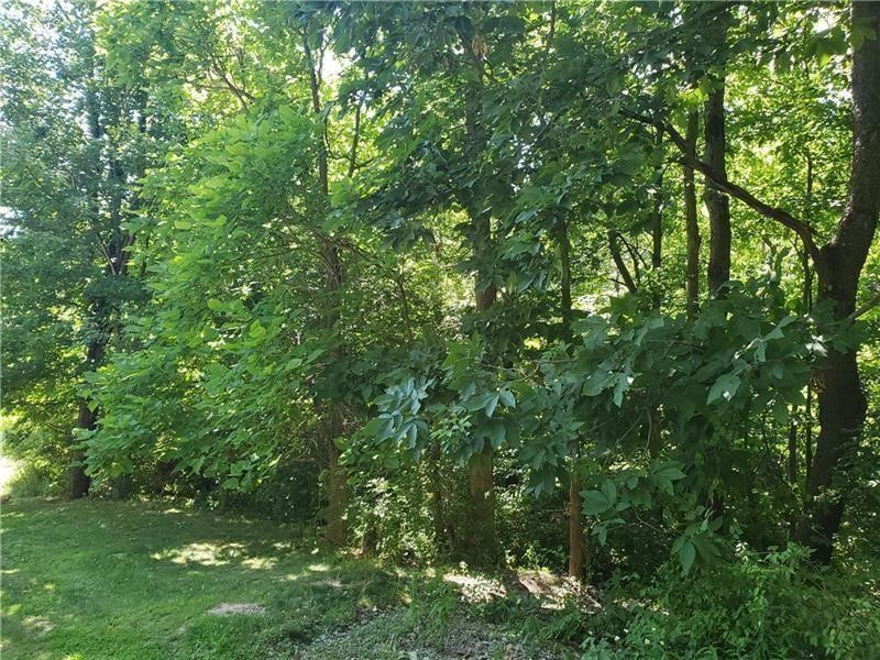0 N Shady Ave — photo 3
