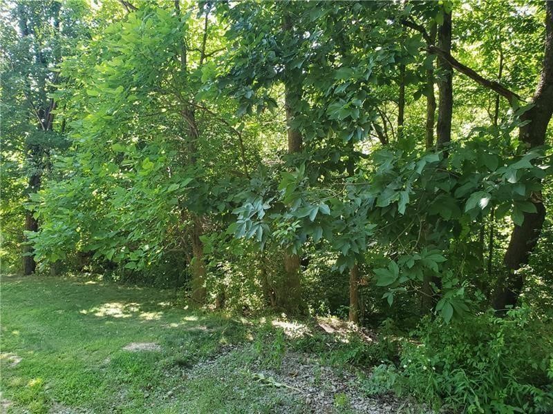 0 N Shady Ave — photo 4