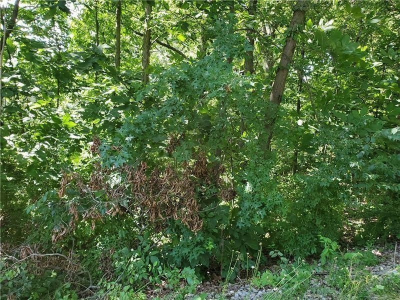 0 N Shady Ave — photo 7