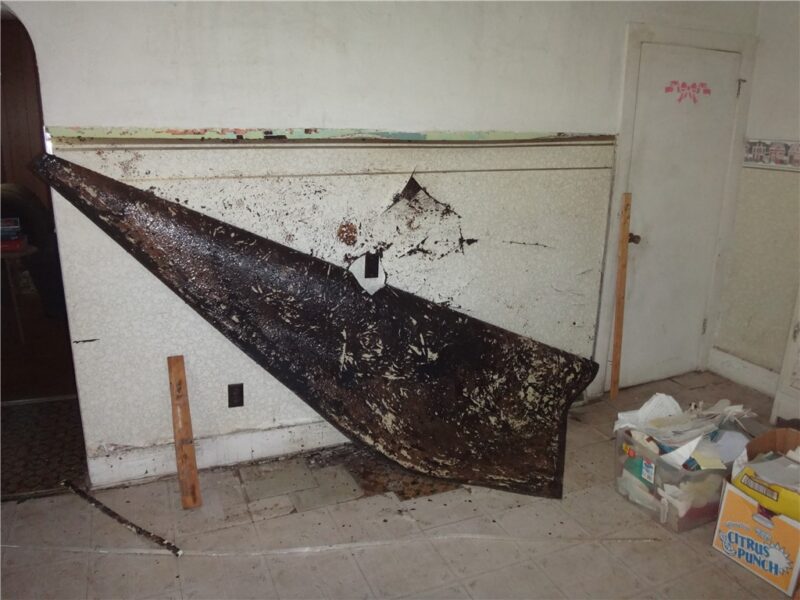 914 Coal Street — photo 7