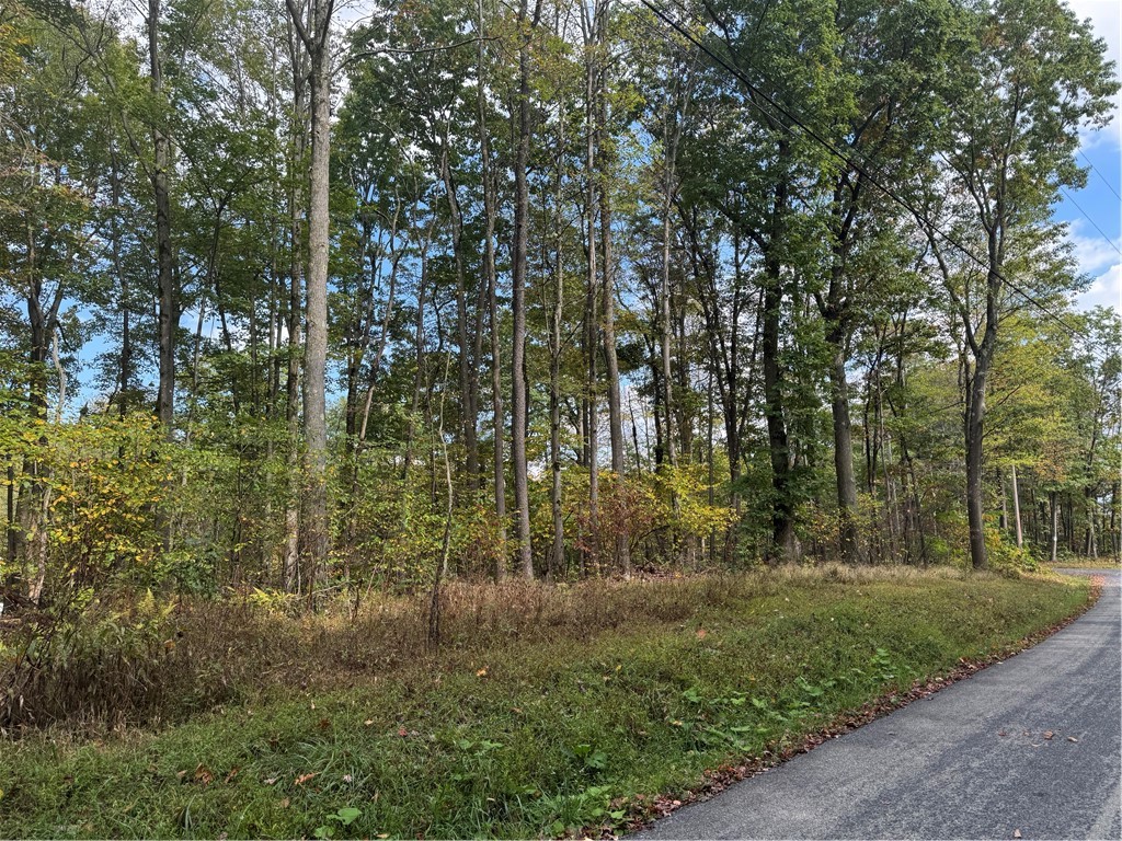 0 Old Hickory Flats Road — photo 1