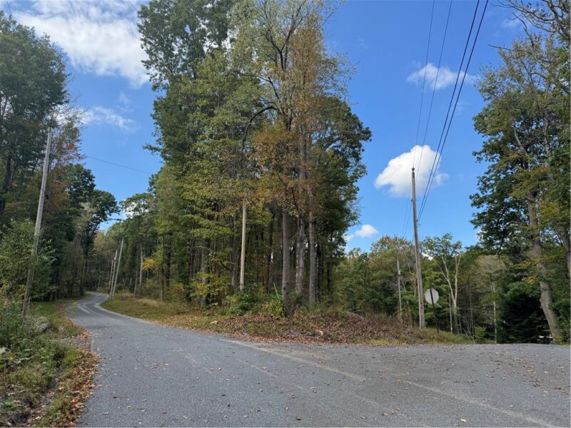0 Old Hickory Flats Road — photo 2