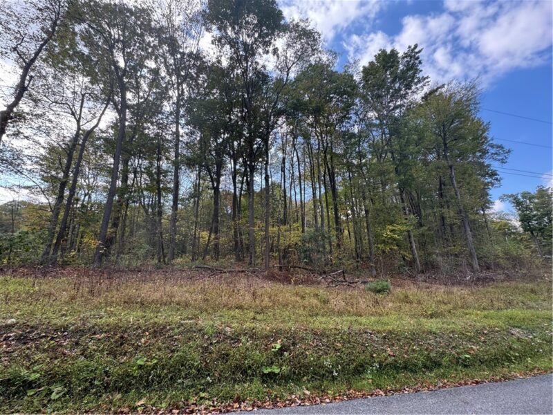 0 Old Hickory Flats Road — photo 3
