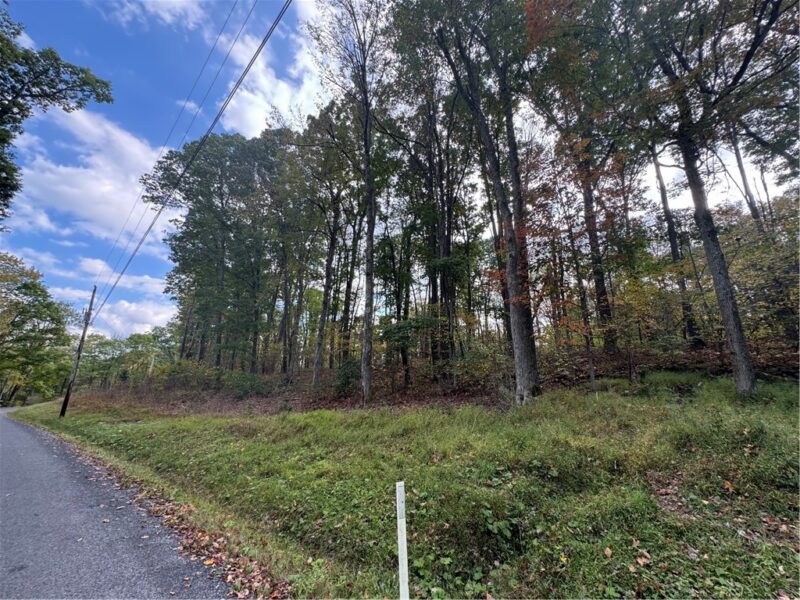 0 Old Hickory Flats Road — photo 4