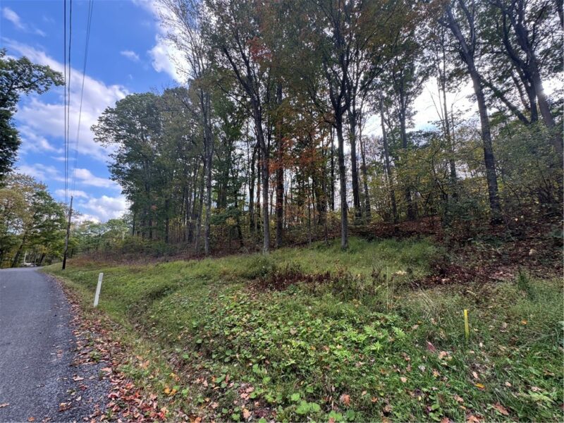 0 Old Hickory Flats Road — photo 5