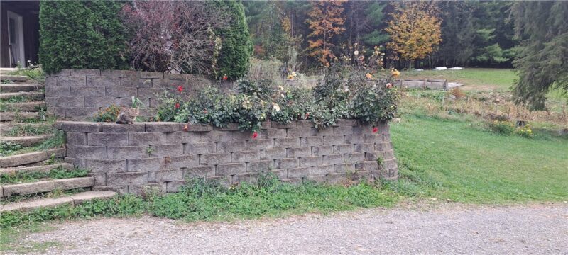 252 Moore Rd — photo 5