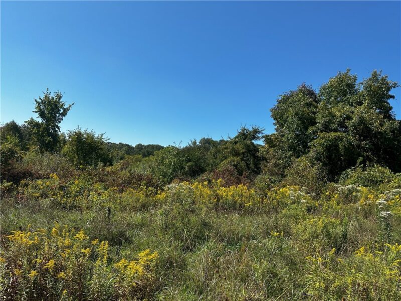 112 Bair Blvd — photo 3