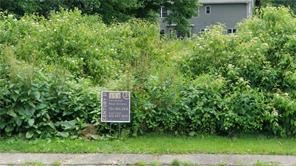 353 Hidden Brooke Ct — photo 1