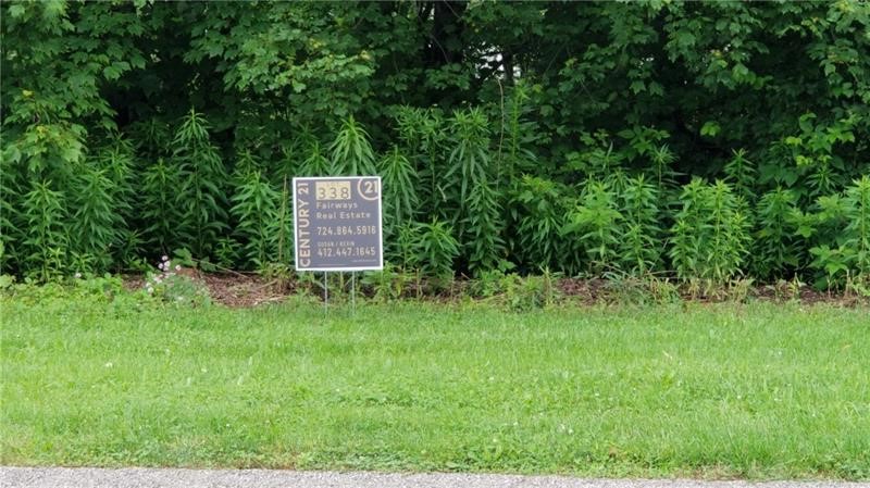 338 Sequoia Dr — photo 1