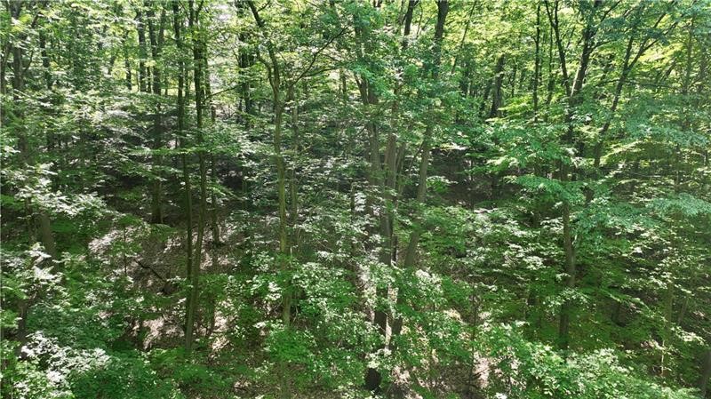 000 Gass Rd — photo 2