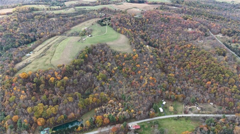 76 Acres along Braughler Road — photo 5