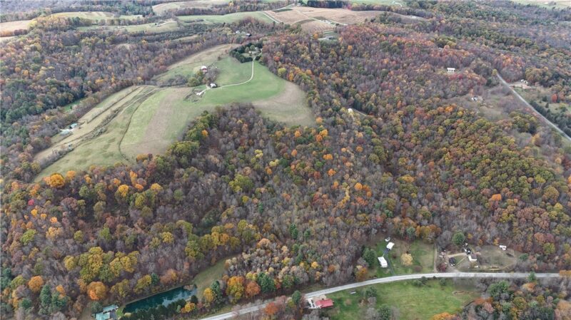 76 Acres along Braughler Road — photo 6
