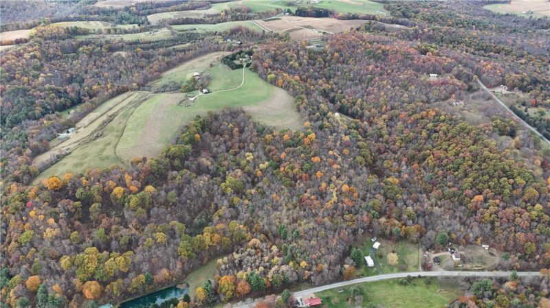 76 Acres along Braughler Road — photo 7