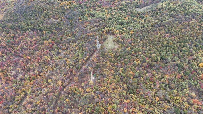 76 Acres along Braughler Road — photo 8