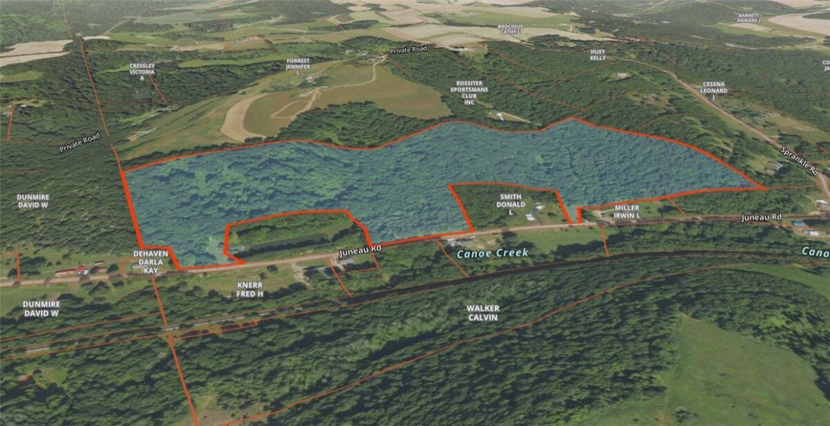 56 Acres ± Along Juneau Road — photo 1