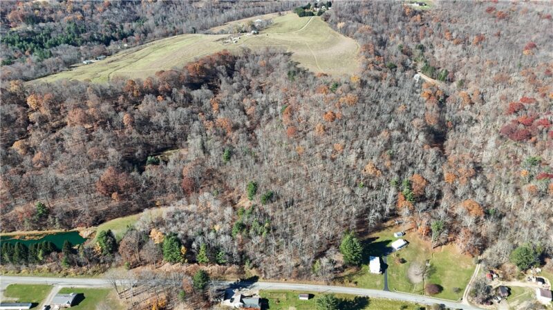56 Acres ± Along Juneau Road — photo 4