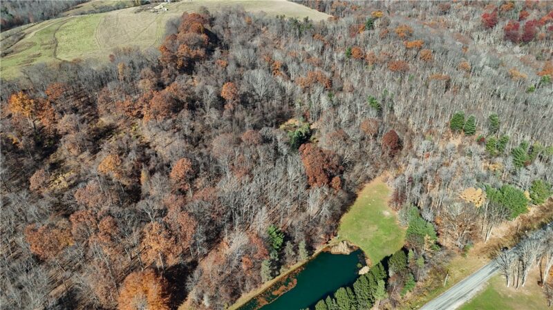 56 Acres ± Along Juneau Road — photo 8