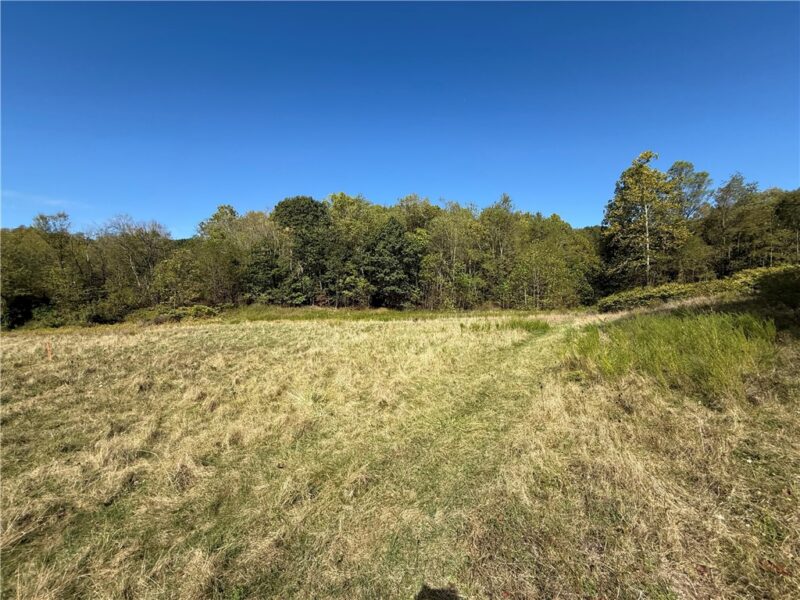 00 Mine Road — photo 3
