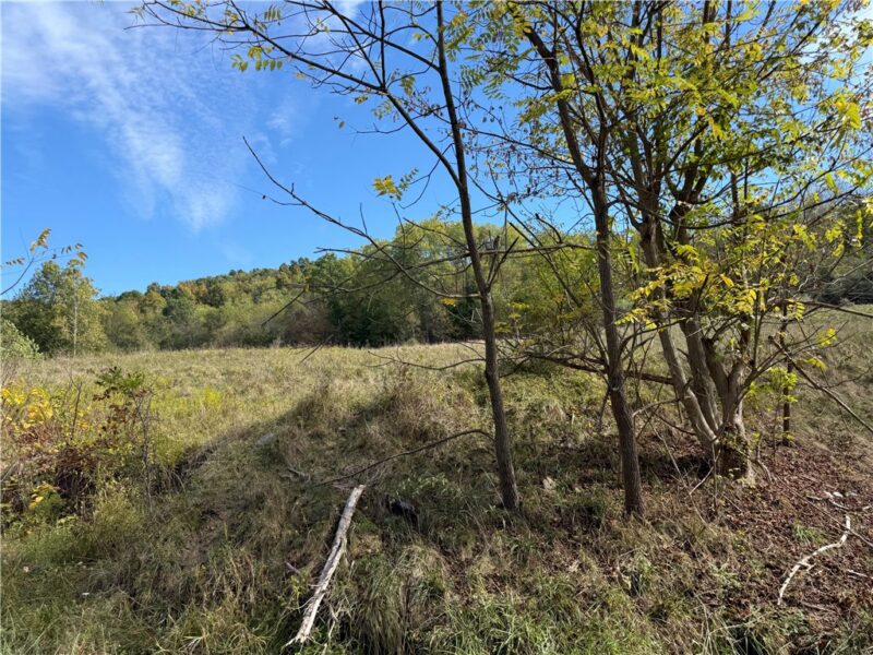 00 Mine Road — photo 4