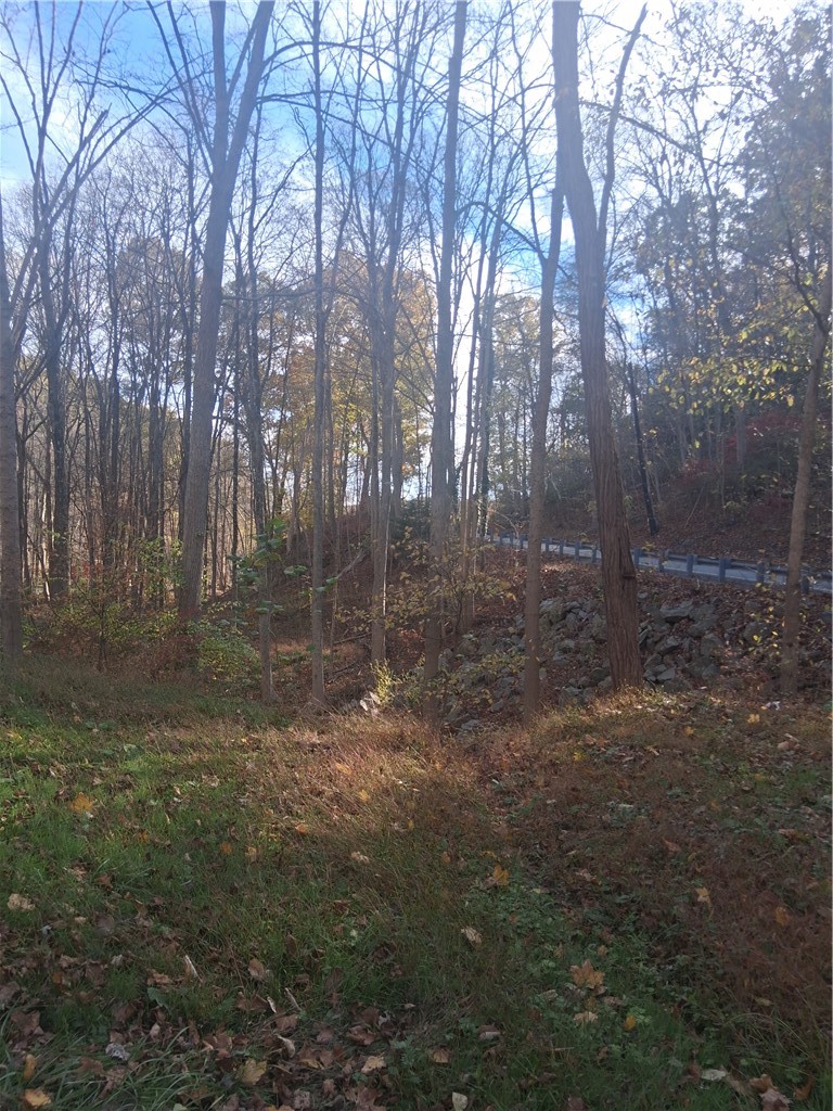 00 BALDWIN ROAD — photo 3