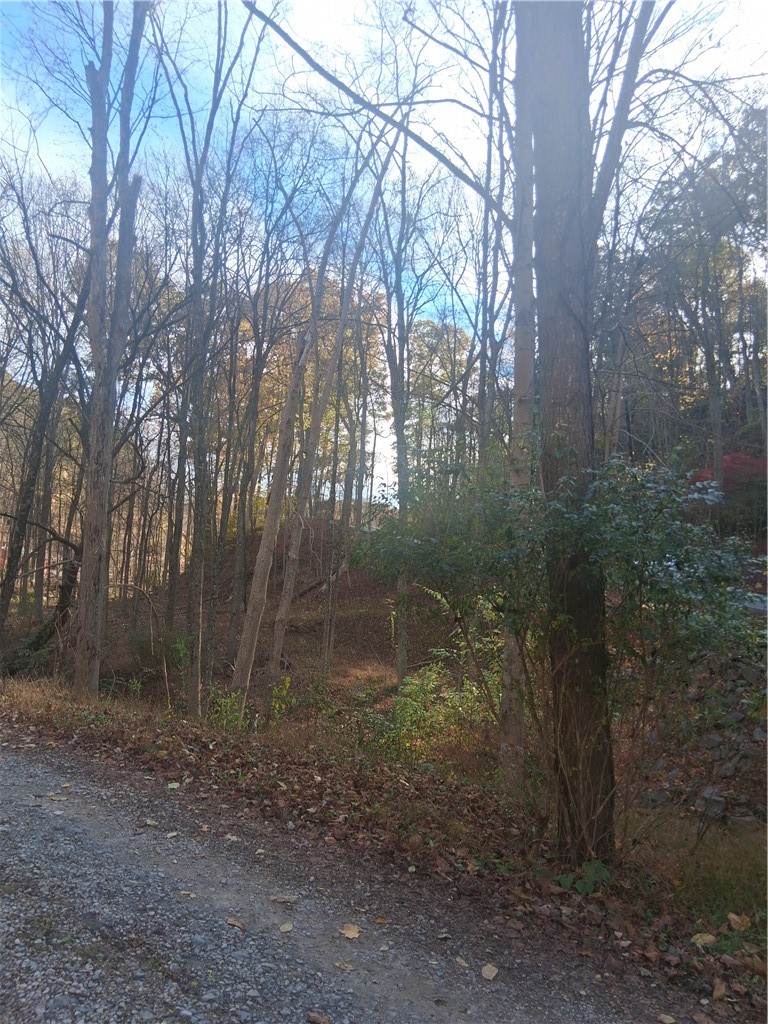 00 BALDWIN ROAD — photo 4