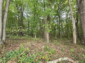 000 Lot 22 Dally Road — photo 2