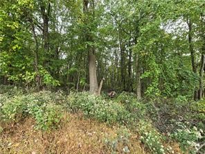 000 Lot 23 Dally Road — photo 2