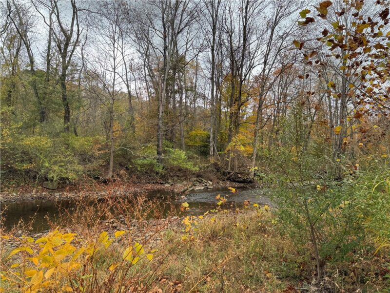 333 Green Acres Lane — photo 7