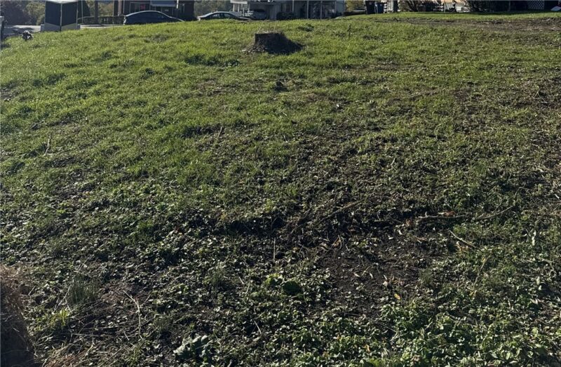 0 Custer Ave — photo 2