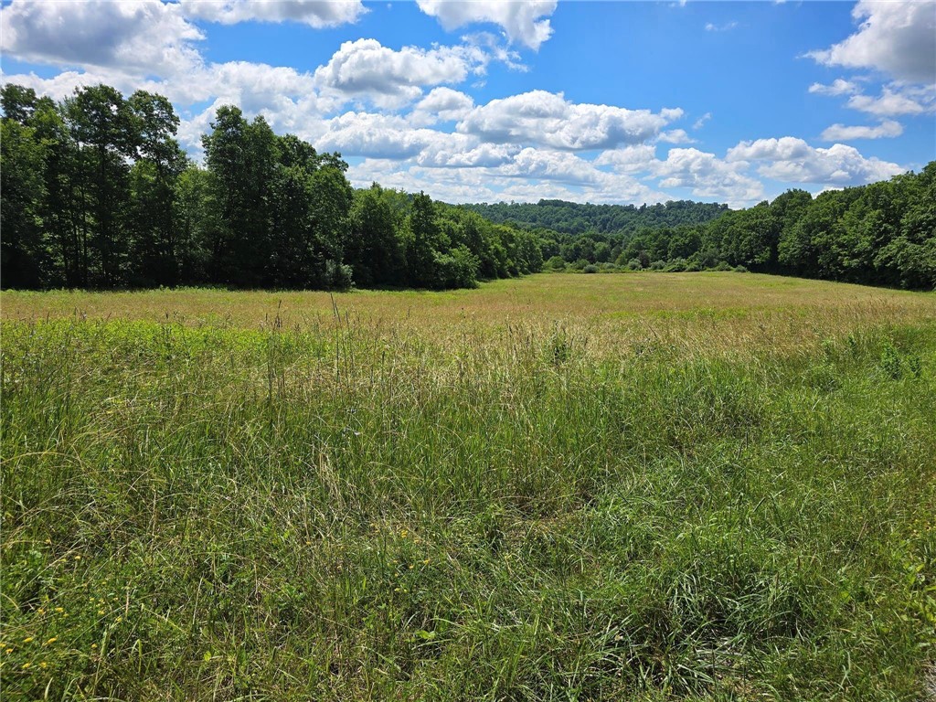 0 Borovick Rd — photo 1