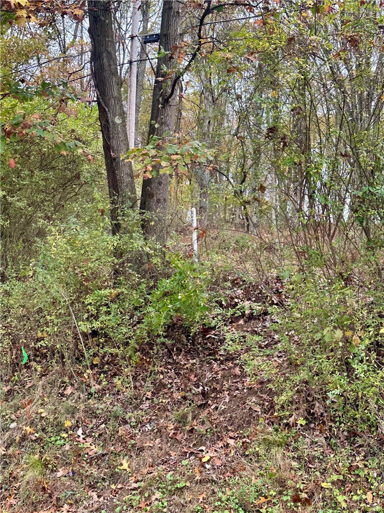 0 Old State Road — photo 1