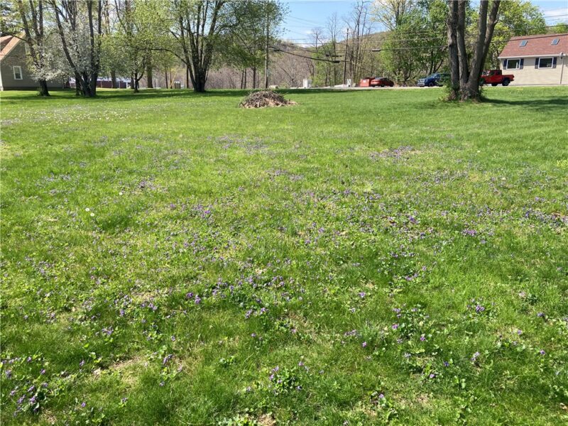 00 ST RT 68 Midland Beaver Rd — photo 2