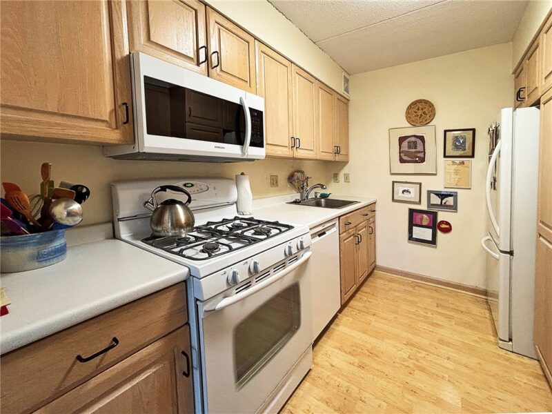 1160 BOWER HILL RD 310A — photo 3