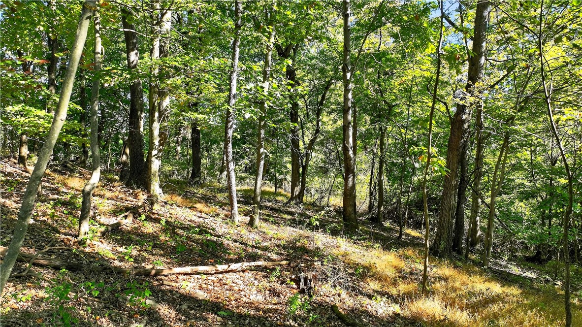 LOT Dover Crest — photo 1