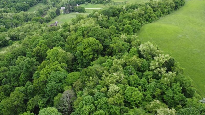 9999 Mckee Rd — photo 7