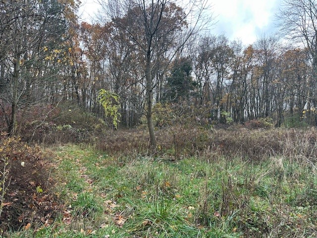 244 Hilltop Acres Road — photo 6