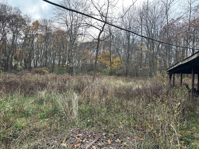 244 Hilltop Acres Road — photo 7