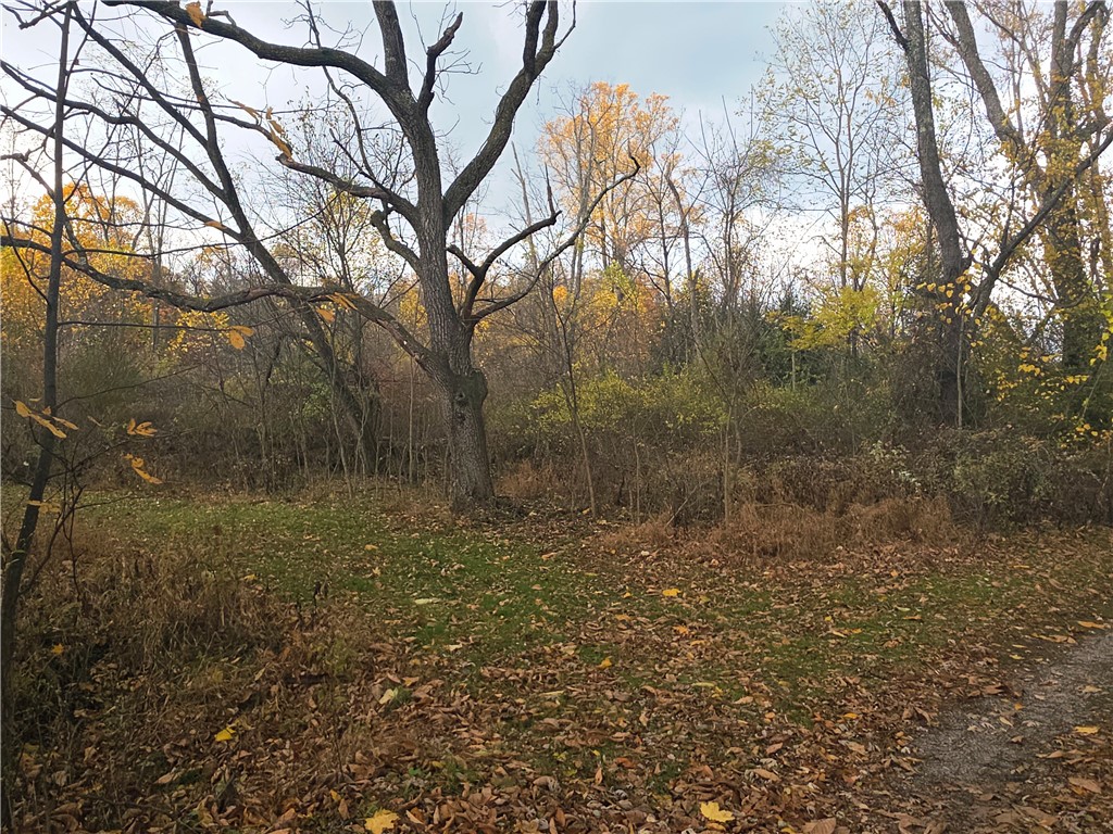 0 White School Rd. — photo 1