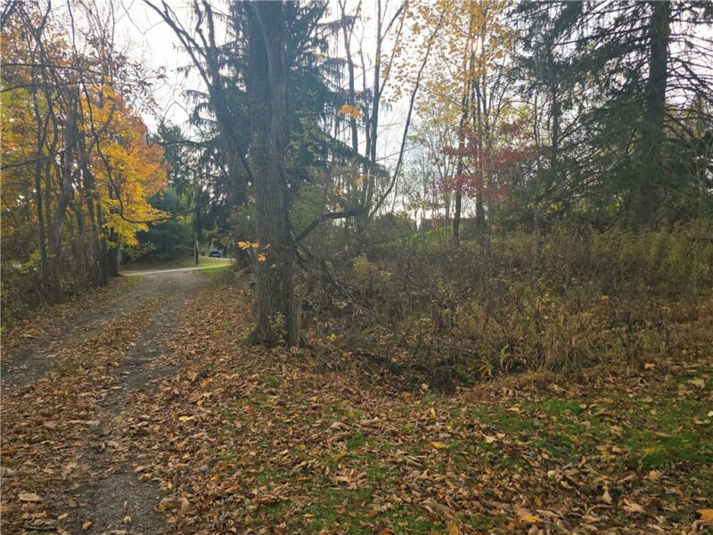 0 White School Rd. — photo 2