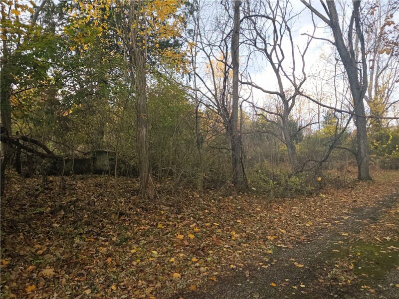 0 White School Rd. — photo 4