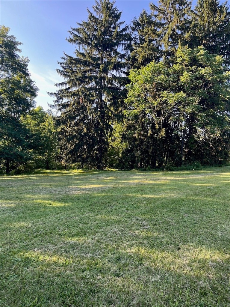131 Willow Farms Court — photo 2