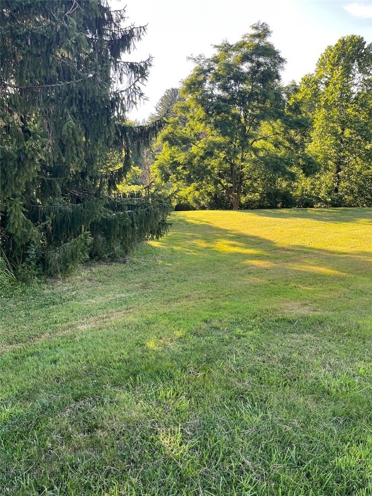 131 Willow Farms Court — photo 3
