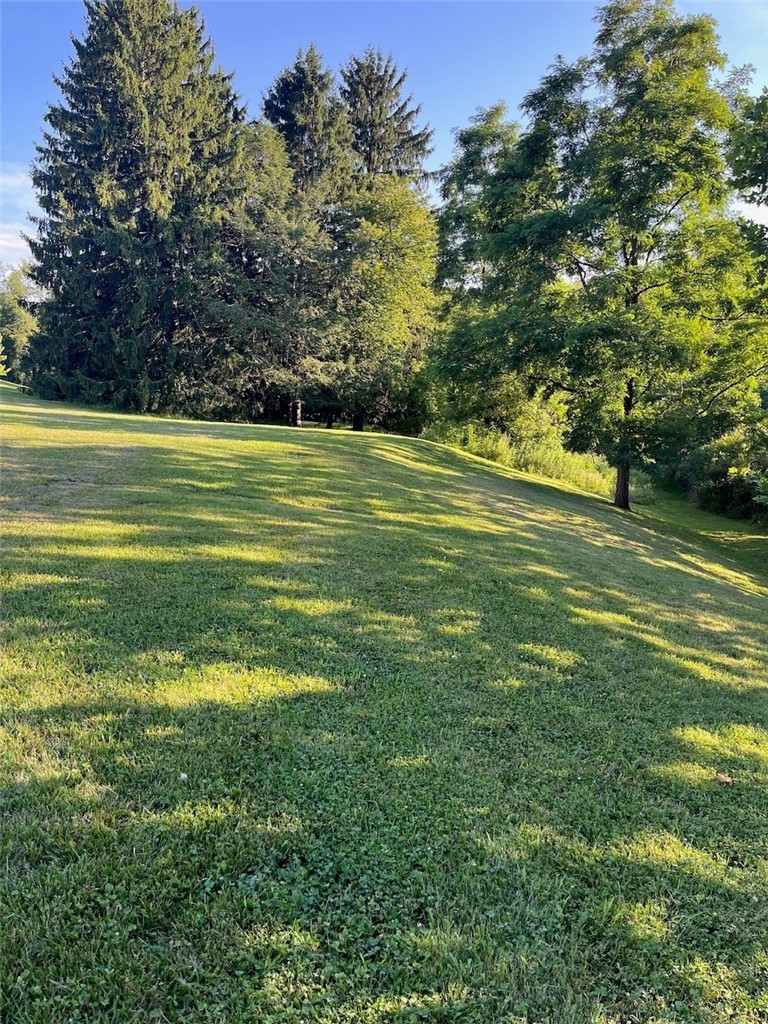 131 Willow Farms Court — photo 4