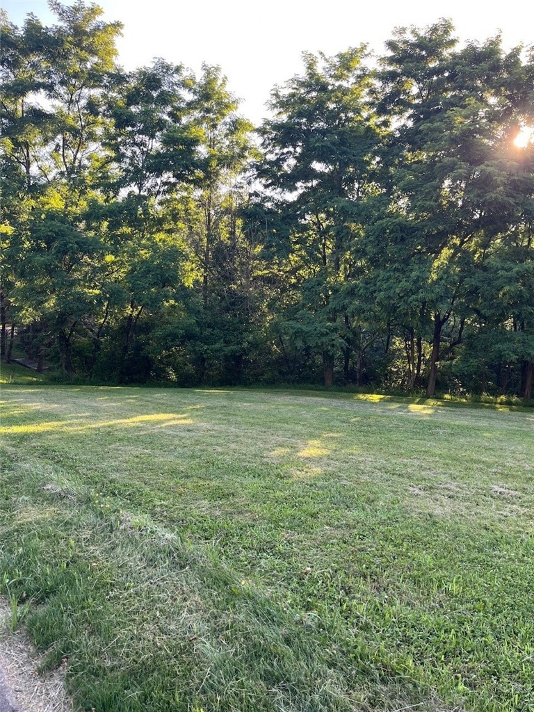 131 Willow Farms Court — photo 5